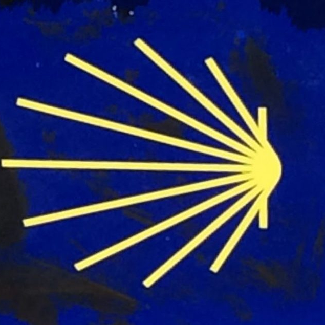 New Day: New Beginning