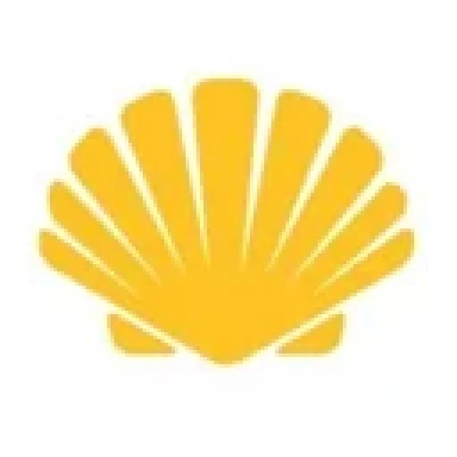 New Day: New Beginning